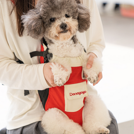 Pet Carrier Backpack for Small Dogs & Cats