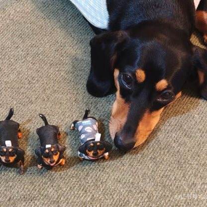 Custom Pet Photo Ugly Plush Doll
