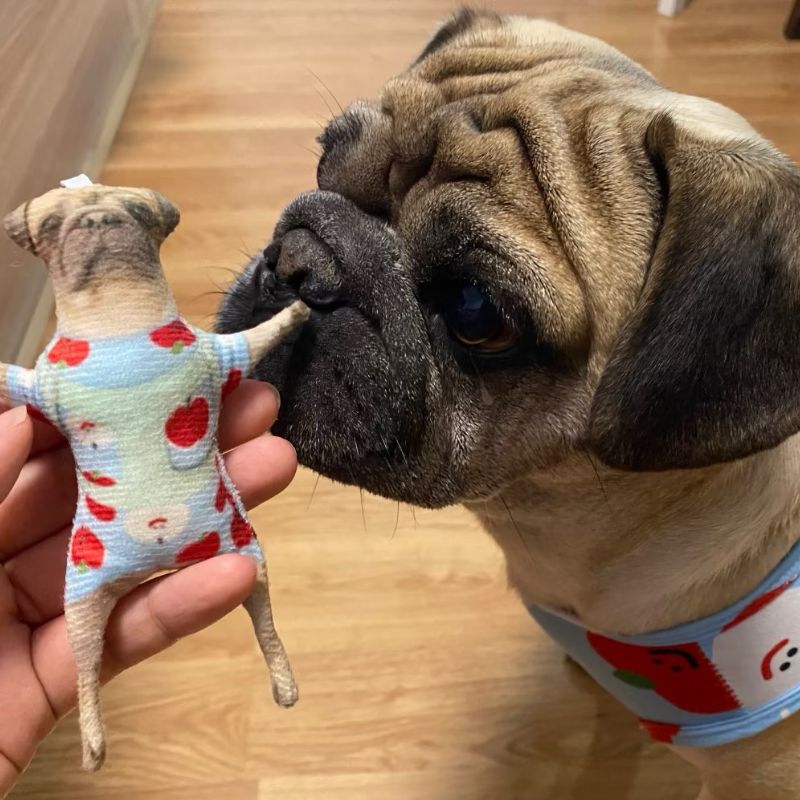 Custom Pet Photo Ugly Plush Doll