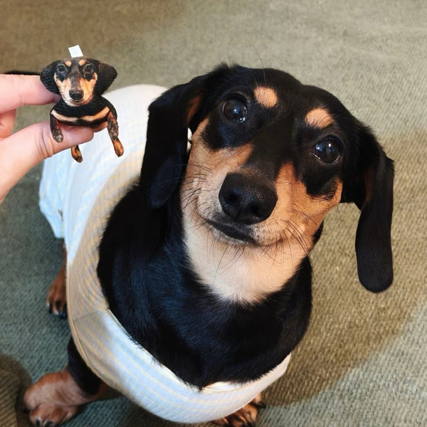 Custom Pet Photo Ugly Plush Doll