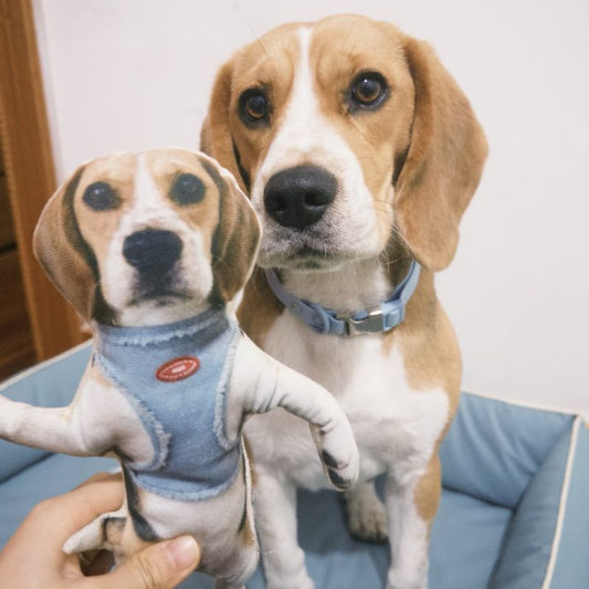 Custom Pet Photo Ugly Plush Doll