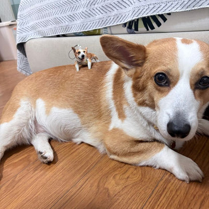 Custom Pet Photo Ugly Plush Doll