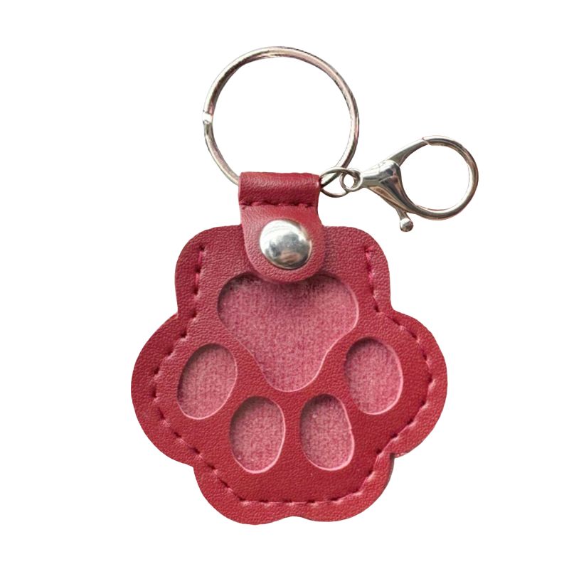 Pet Fur Memorial Keychain