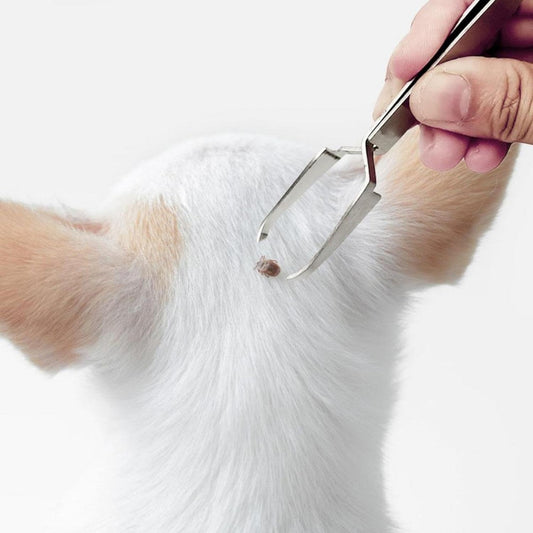 Stainless Steel Tick Removal Tool