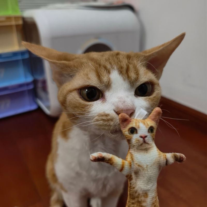 Custom Pet Photo Ugly Plush Doll