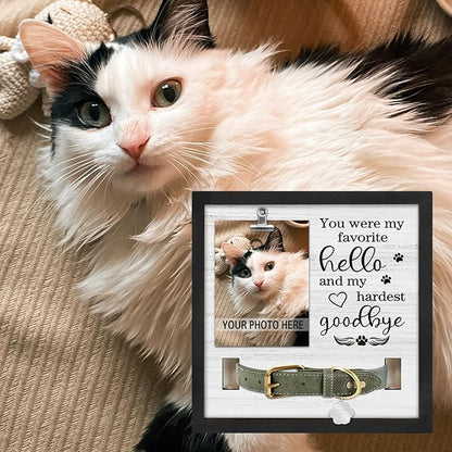 Commemorative Pet Collar Frame