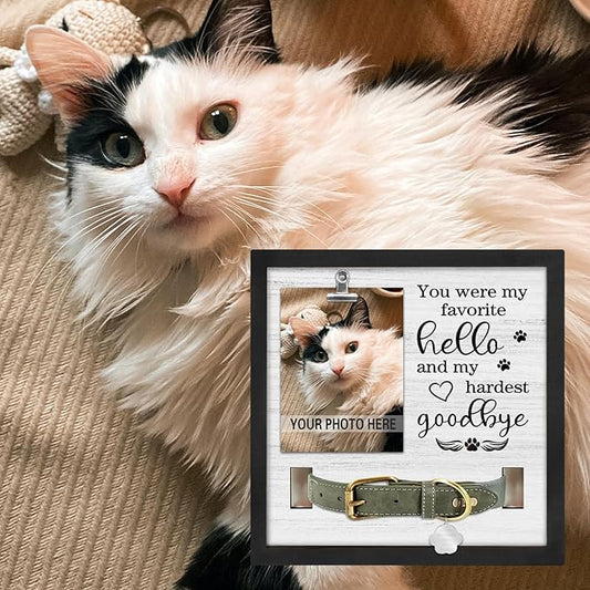 Commemorative Pet Collar Frame