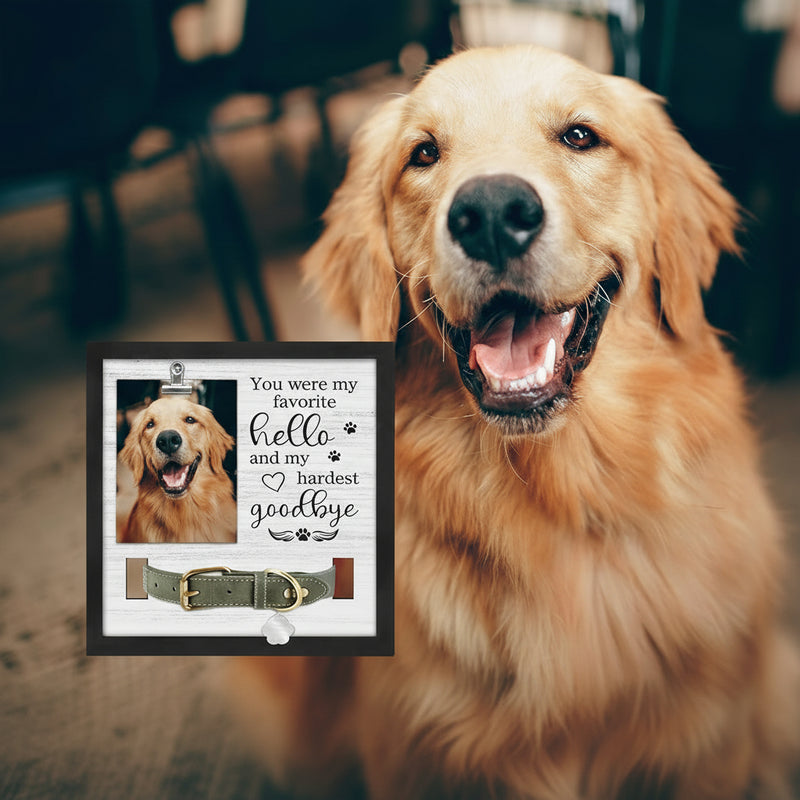 Commemorative Pet Collar Frame