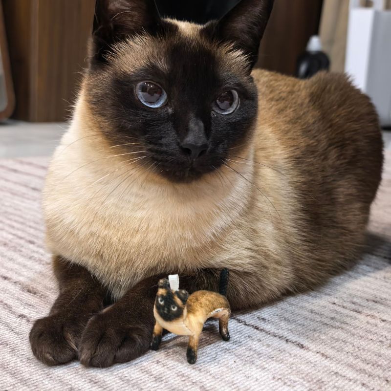 Custom Pet Photo Ugly Plush Doll