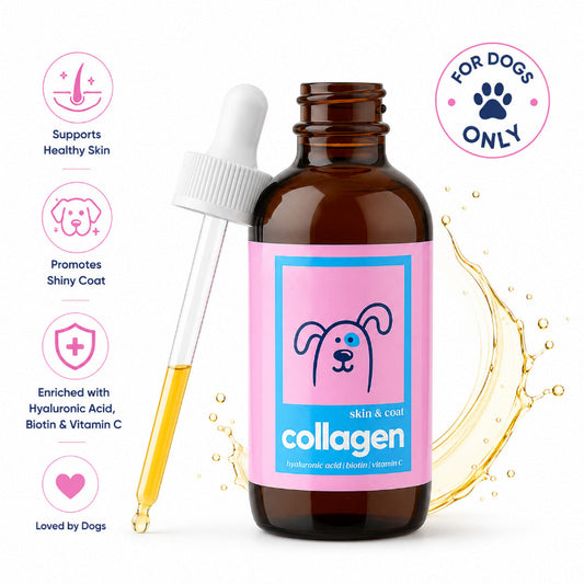 Pet Collagen & Probiotic Drops
