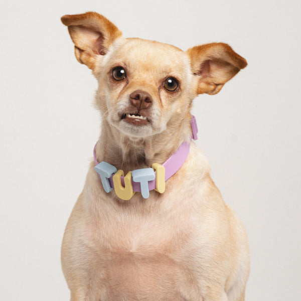 DIY Silicone Letter Beads for Dog Collars
