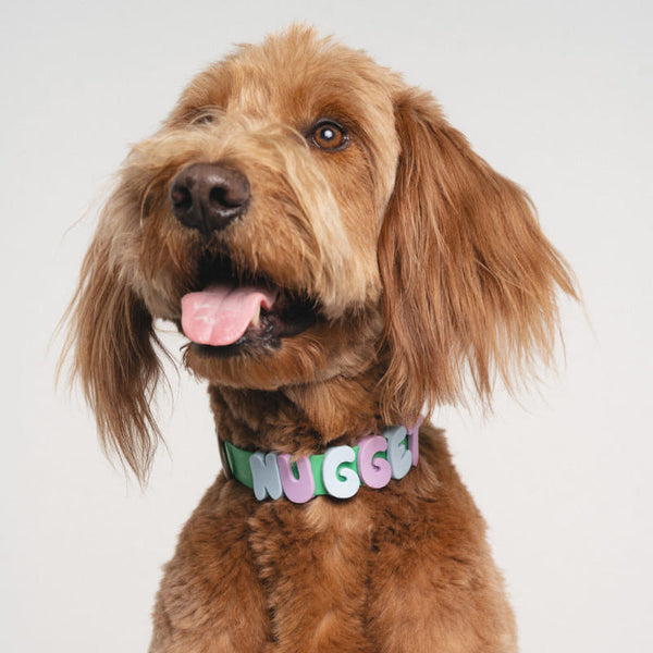 DIY Silicone Letter Beads for Dog Collars