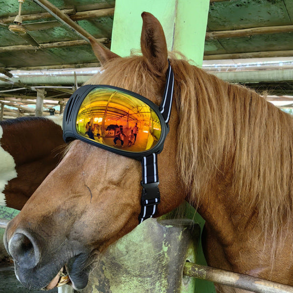 Horse Goggles – UV & Fly Eye Protection for Horses