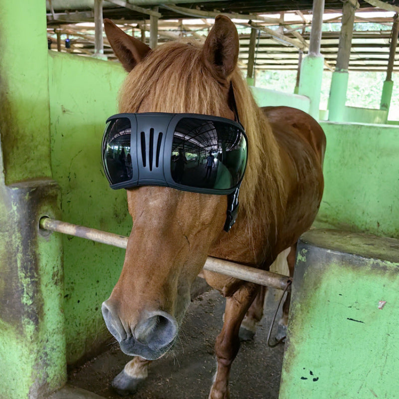 Horse Goggles – UV & Fly Eye Protection for Horses