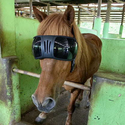 Horse Goggles – UV & Fly Eye Protection for Horses