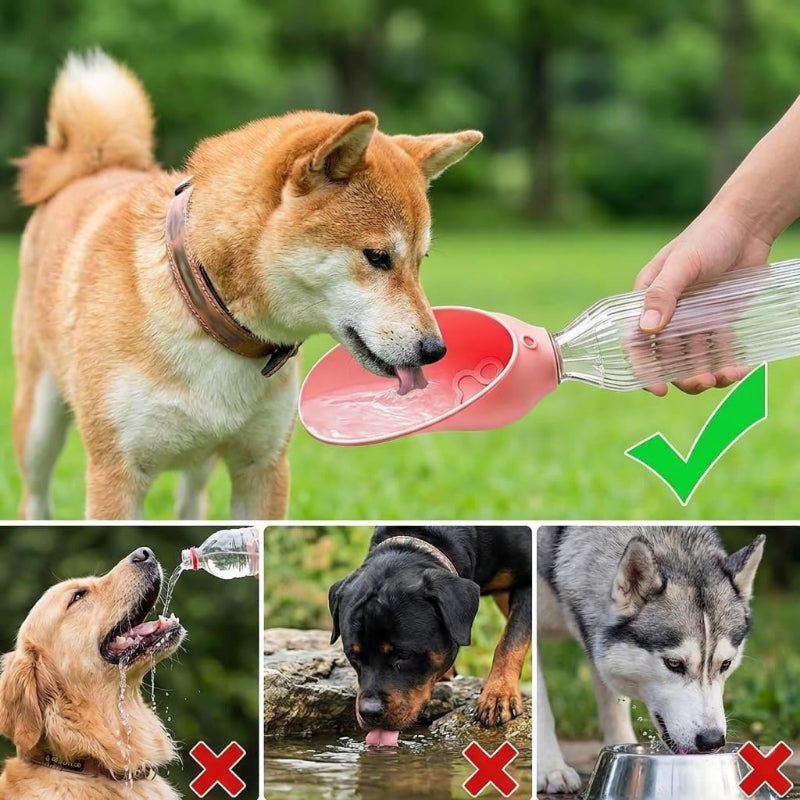 Foldable water dispenser for outdoor pets