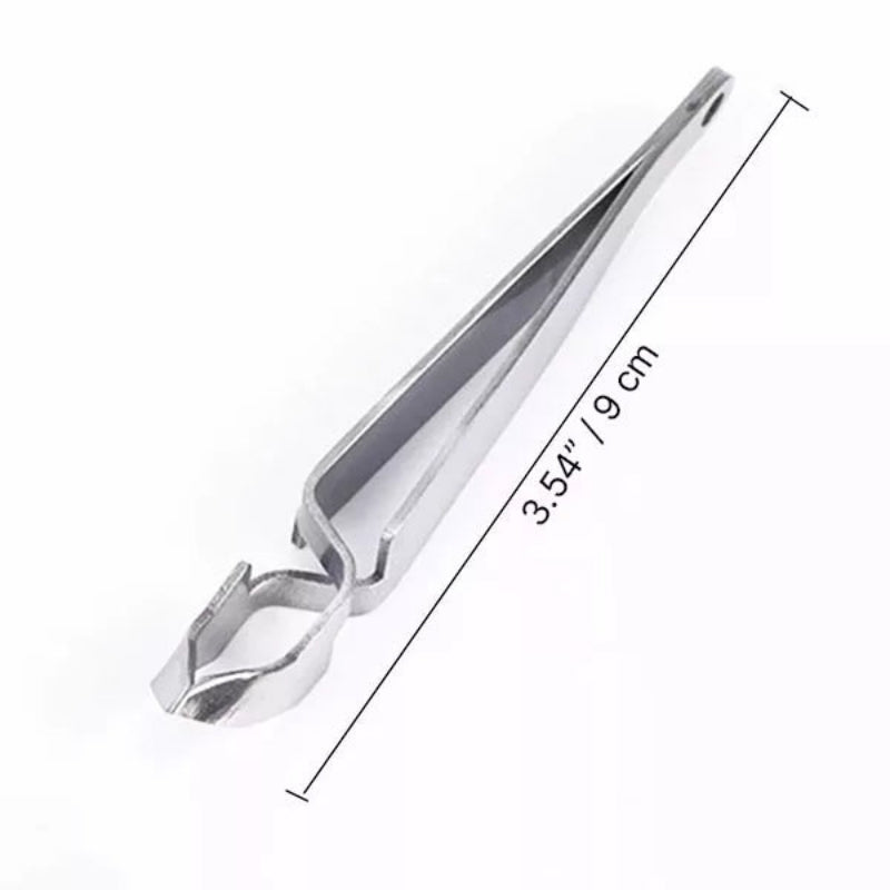 Stainless Steel Tick Removal Tool