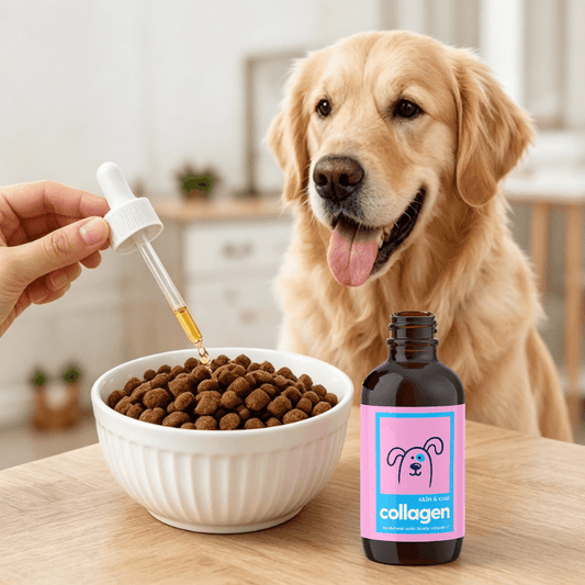 Pet Collagen & Probiotic Drops