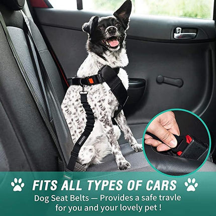 DOG SEAT BELT